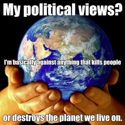 my-political-views_0.jpg