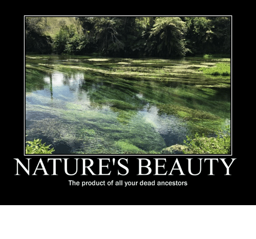 natures-beauty-the-product-of-all-your-dead-ancestors-natures-12532864_0.png