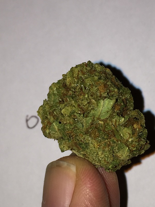 og.JPG