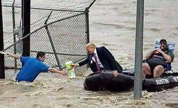 papertowels.jpg