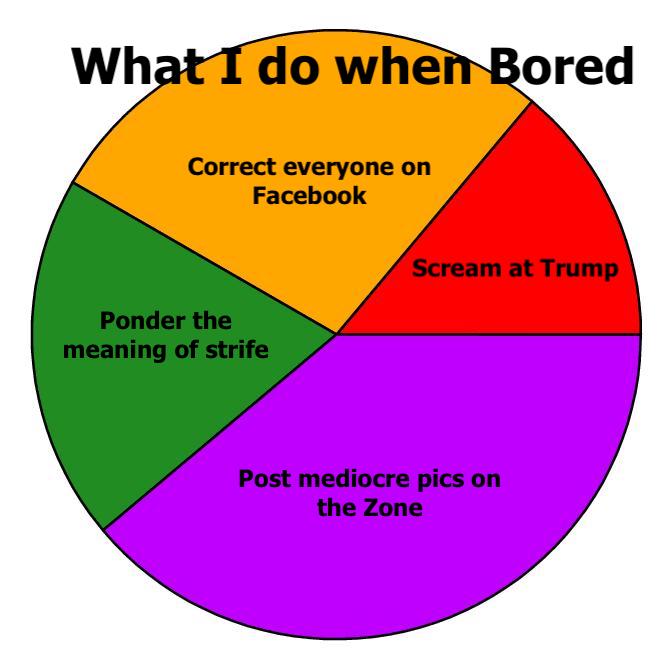 pie_chart.jpg