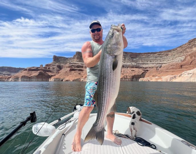 pofish.jpg