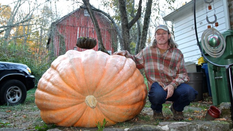 pumpkin-1-768x432.jpg