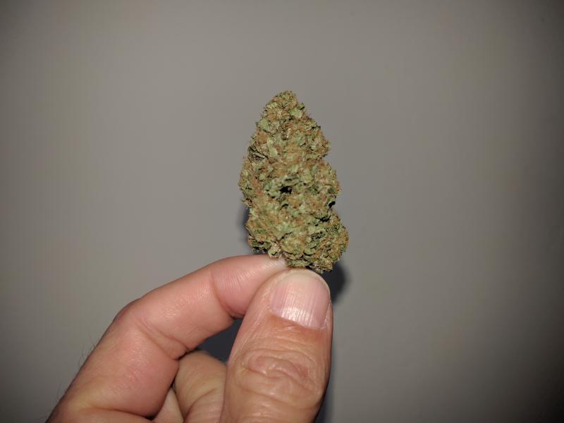 purple.cream_.jpg