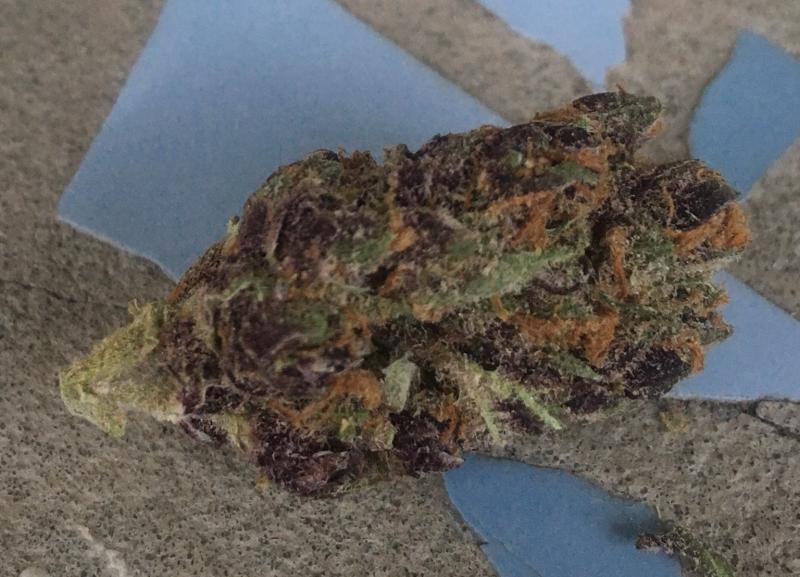 purple.tangie.jpg