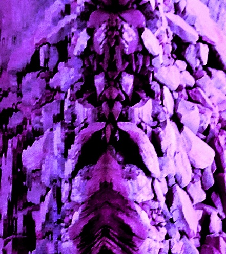 purpleonepz.jpg