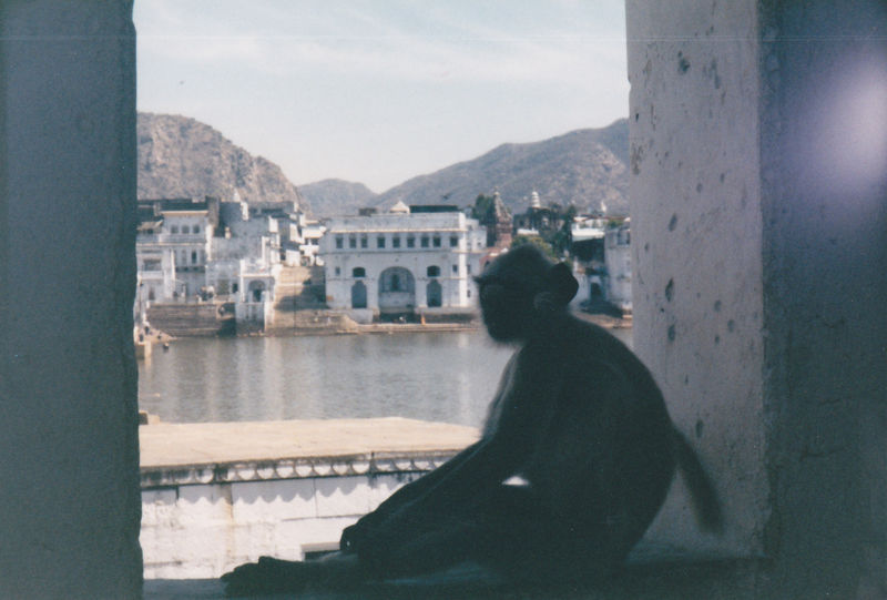 pushkar monk_1.jpg