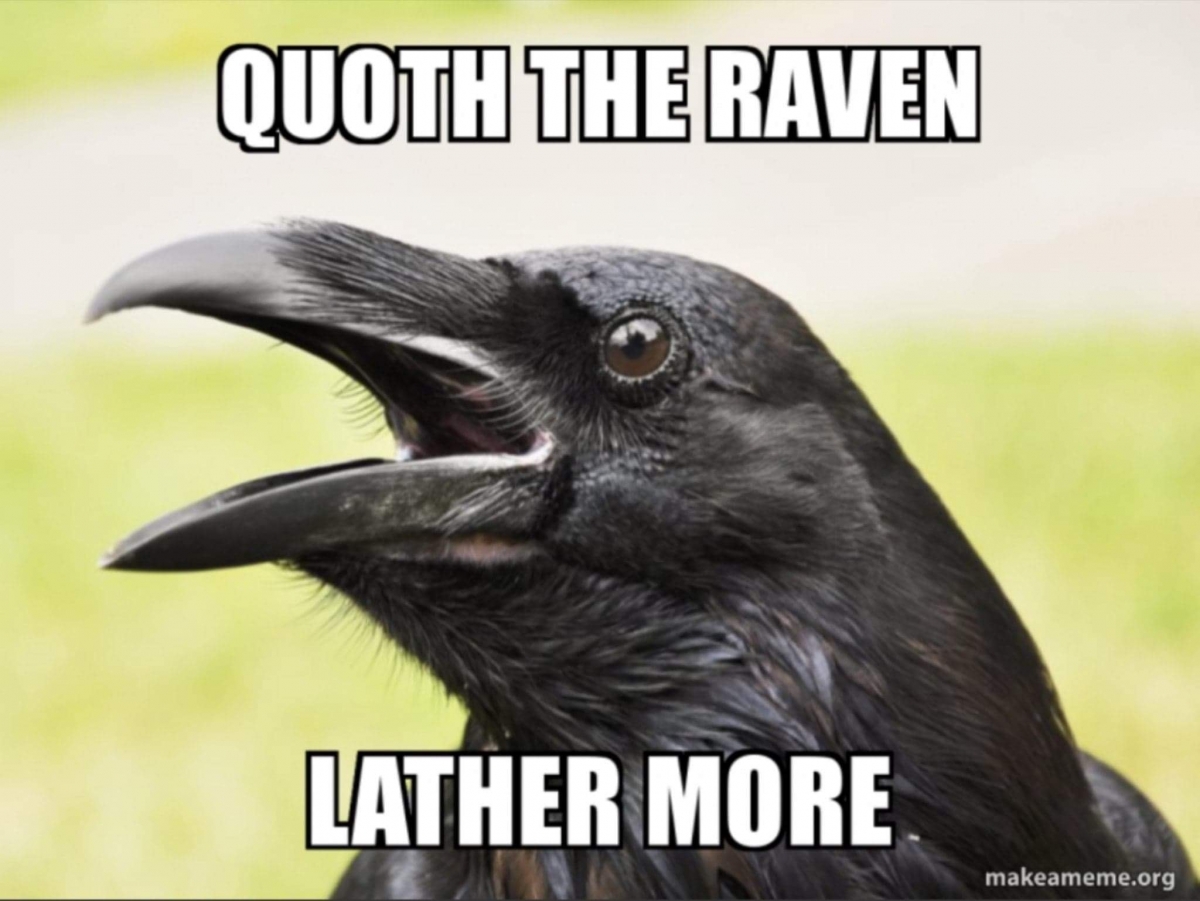 raven1.jpg