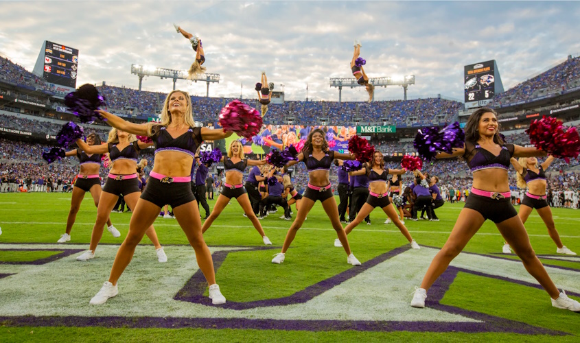 ravens2.png