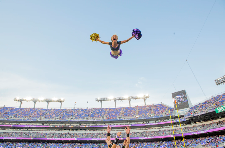 ravens3_0.png
