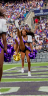 ravens81.png