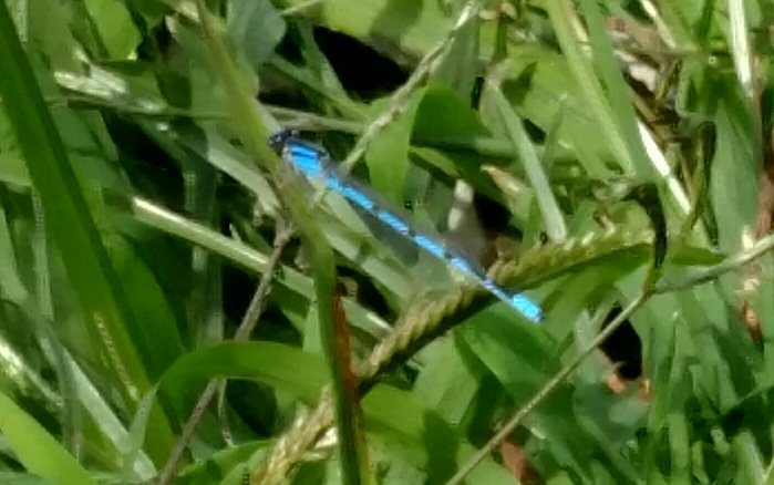 rsz_img_20170912_144025.jpg