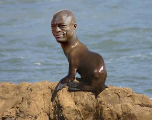 seal_0.png