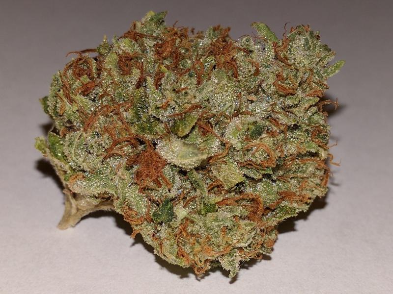 sfg.og_.jpg