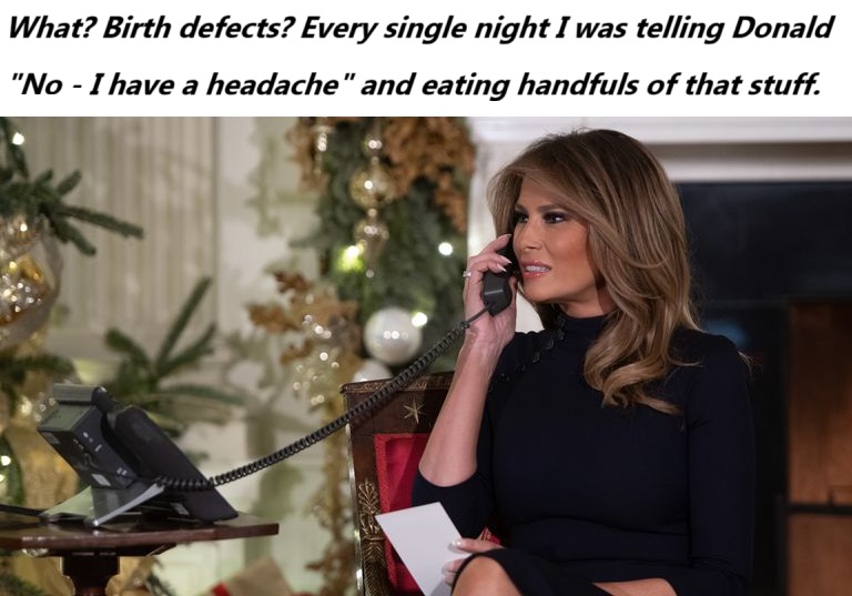 skynews-melania-trump-first-lady_5115696.jpg
