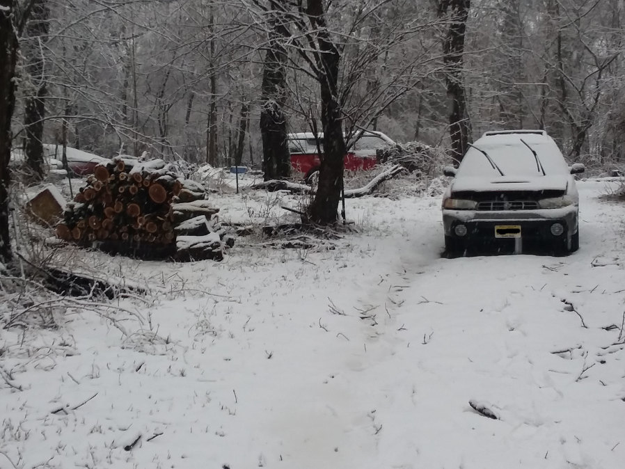 snow1.jpg
