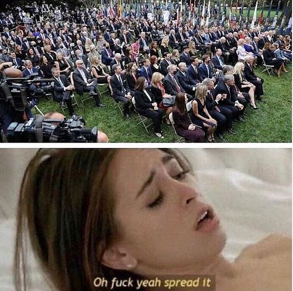 spread.JPG