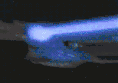 startrekcatgif4.gif