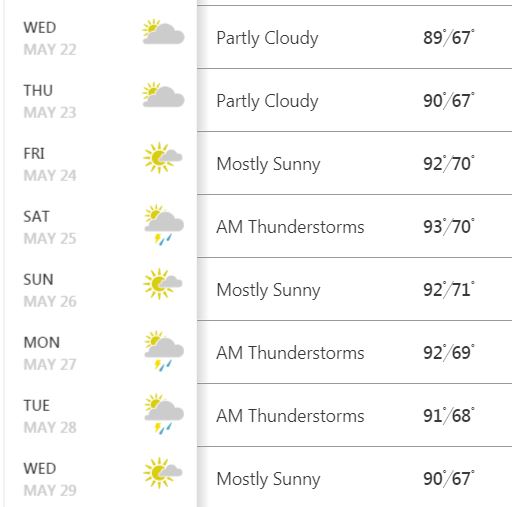 summer.JPG