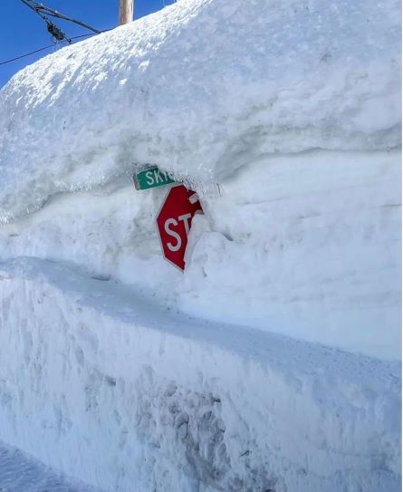 tahoe.jpg
