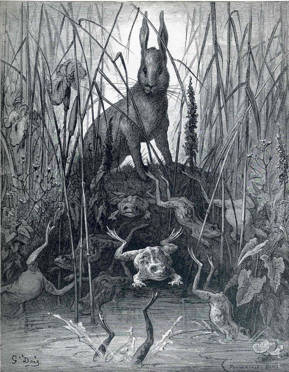 the-hare-and-the-frogs.jpg