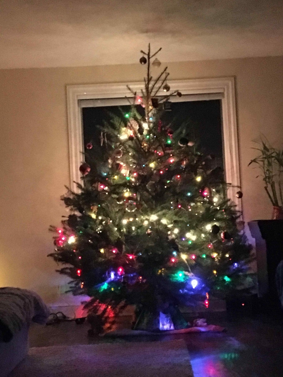 tree_0.jpg