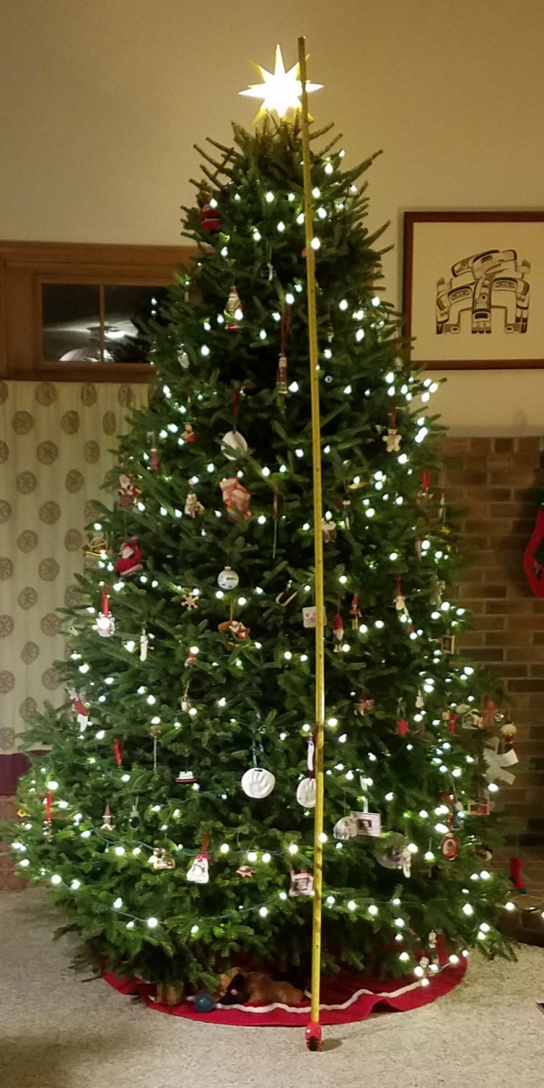tree_3.jpg