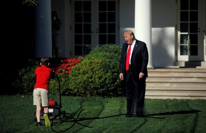 trump lawn miss.jpg