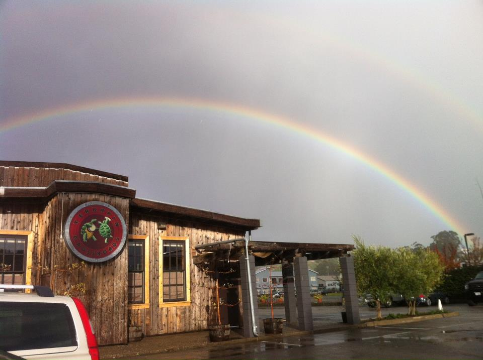 txr-rainbow.png