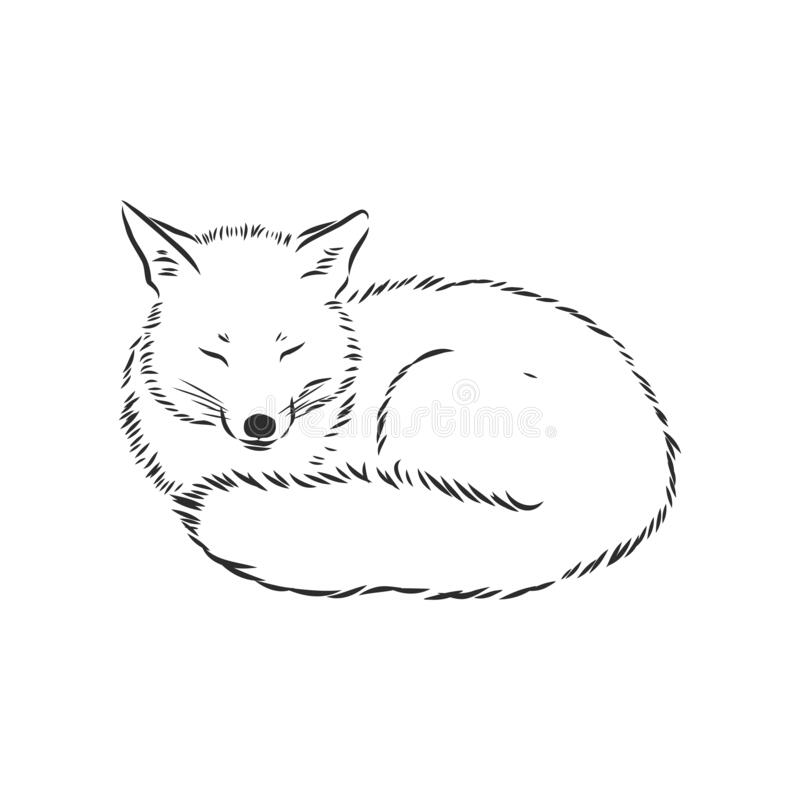 vector-hand-drawn-illustration-sleeping-fox-isolated-white-background-cute-forest-animal-sketch-style-sleeps-179825510.jpg