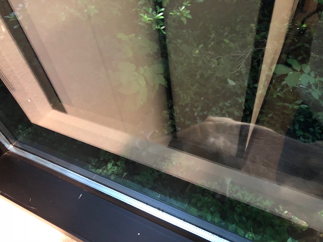 work window.jpg