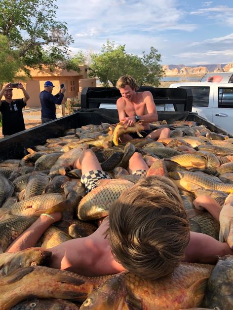 z carp.jpg