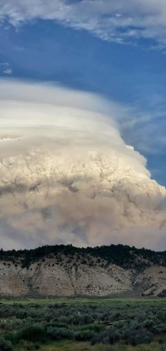 z lee fire.jpg